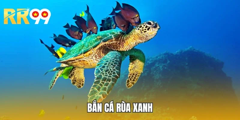 Bắn Cá Rùa Xanh