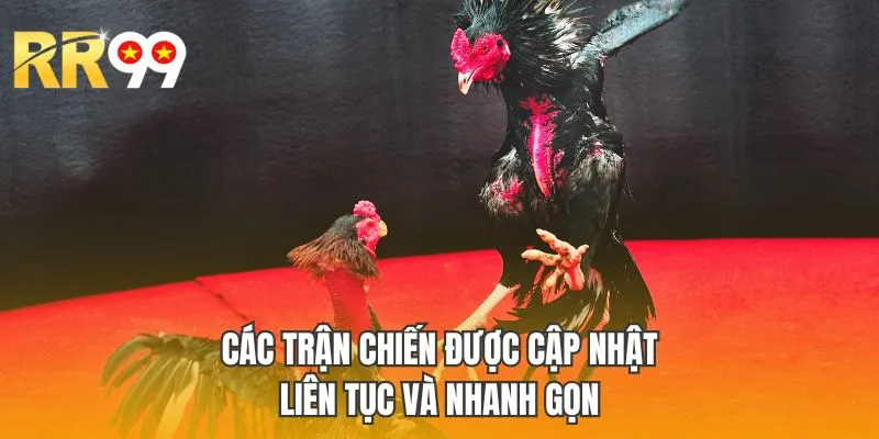 Các trận chiến được cập nhật liên tục và nhanh gọn