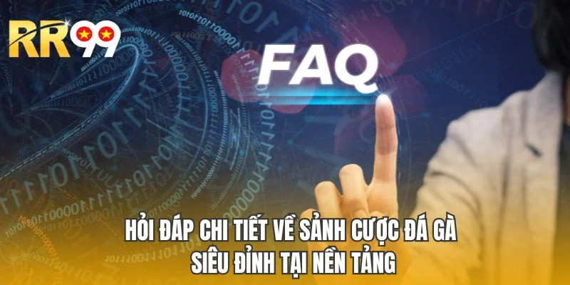 Hỏi đáp chi tiết về sảnh cược đá gà siêu đỉnh tại nền tảng