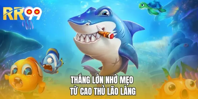 Thắng lớn nhờ mẹo từ cao thủ lão làng