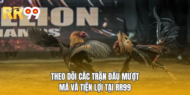 Theo dõi các trận đấu mượt mà và tiện lợi tại RR99